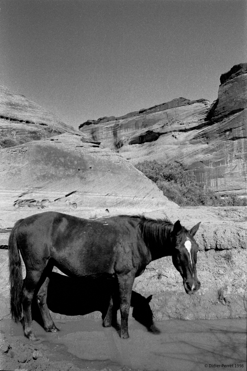 wild west